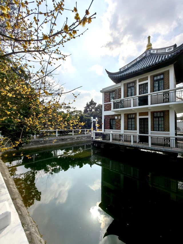 桂林公園探梅記