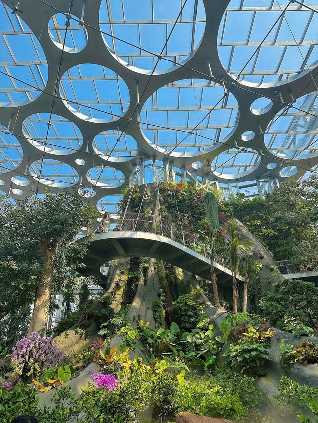 亞洲最大的上海溫室花園