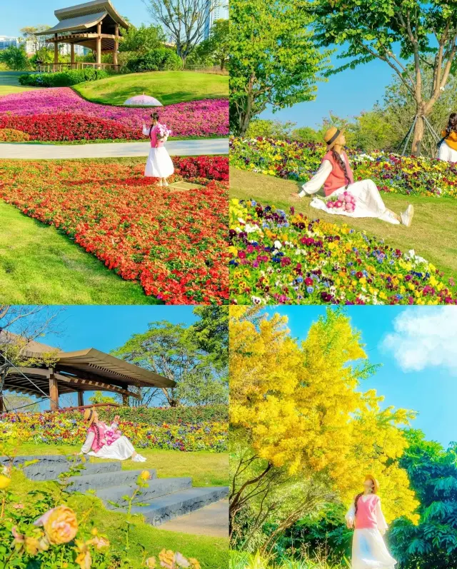 A collection of must-see flower seas in Shenzhen this spring, save it now!