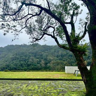 🍃闖入台北苦茶山，邂逅綠野仙蹤