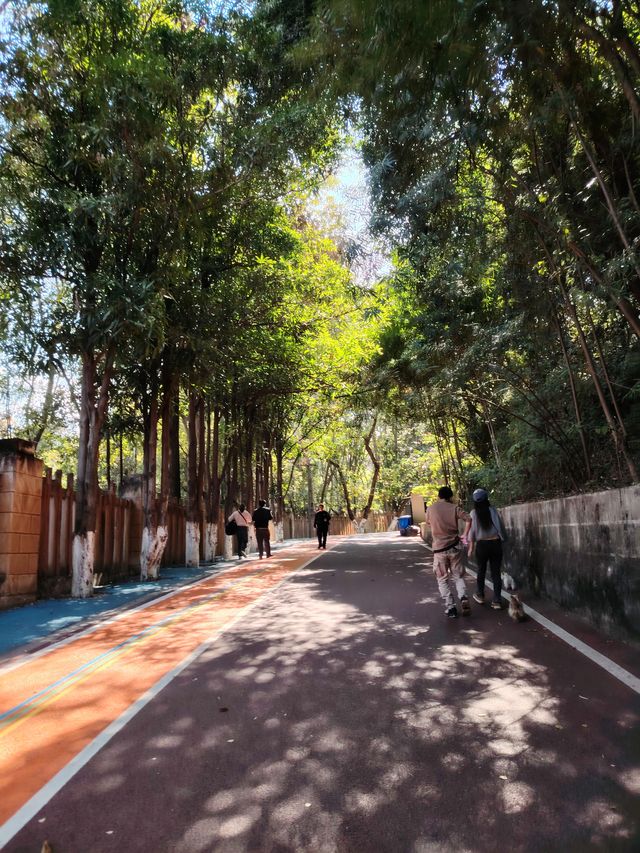 漫步冬日暖陽下的攀枝花公園