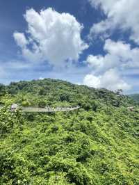 Yalong Bay Forest Park: A Perfect Travel Experience in a Natural Oxygen Bar