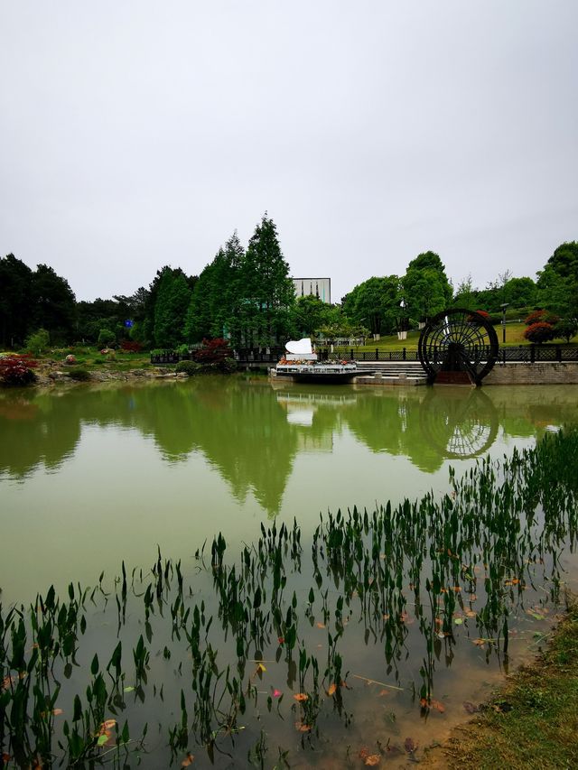 重慶 | 鐵山坪森林公園