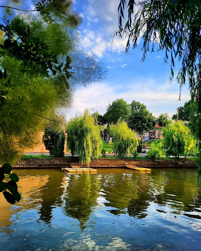 สำรวจ Timisoara โดยขี่จักรยานไปตามแม่น้ำ Bega และโดยเรือ