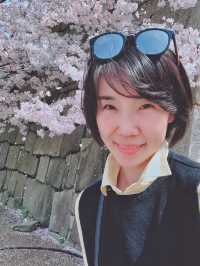 大阪櫻花季，浪漫賞玩全攻略