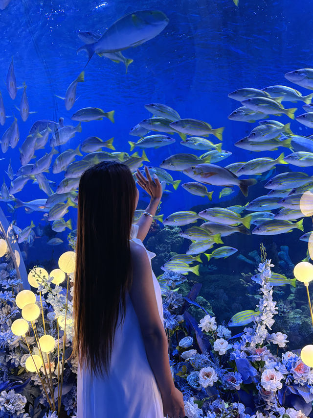 女神節海趣花都海洋世界