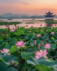 Discover China: A Visa-Free Adventure Awaits!