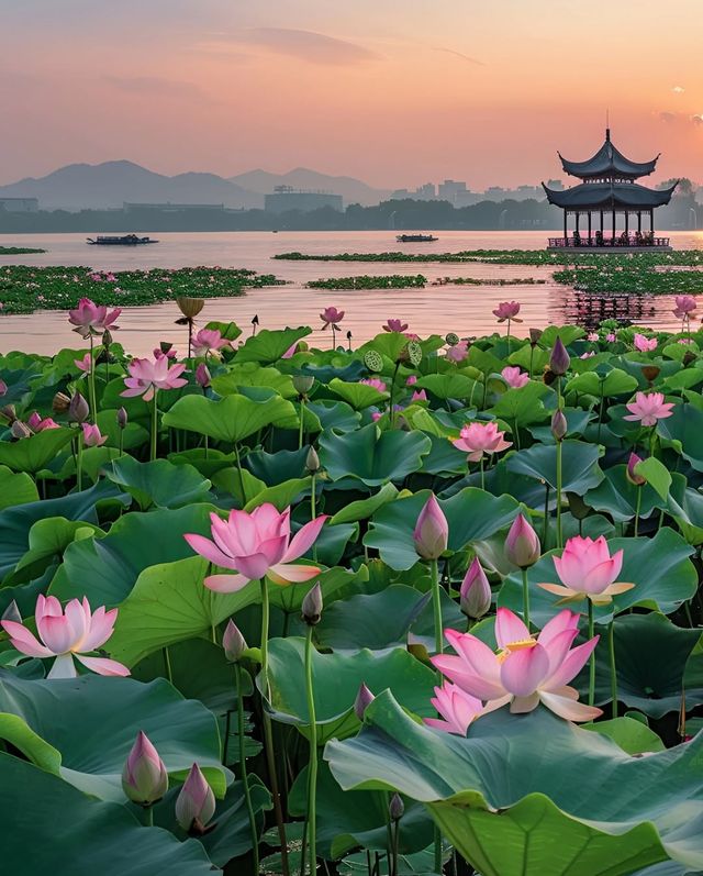 Discover China: A Visa-Free Adventure Awaits!