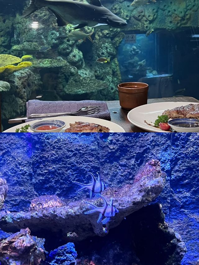 又發現了一個世外桃源 順德長鹿旅遊休博園！
