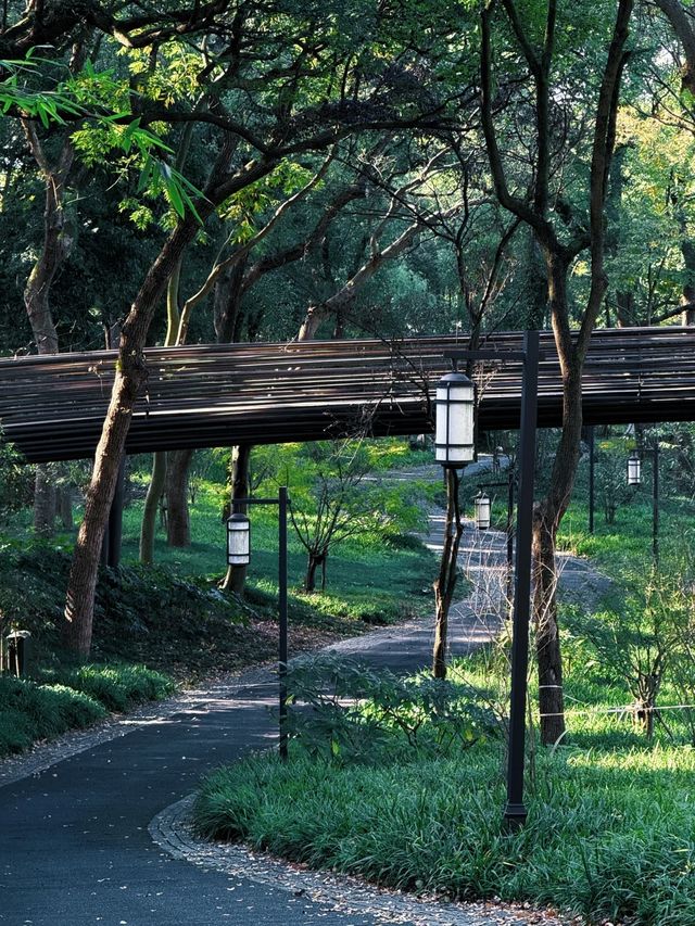 杭城頂流徒步路線！玉皇山鳳凰山一次刷完