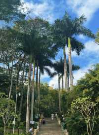 深圳公園 city walk 周末遛娃好去處