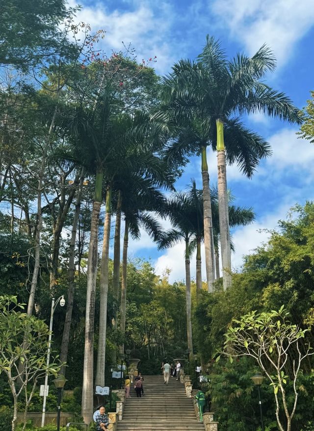深圳公園 city walk 周末遛娃好去處