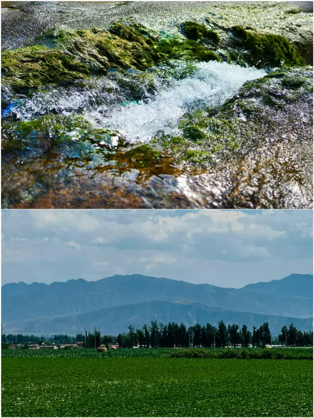 Xinzhou's off-season travel is truly amazing.