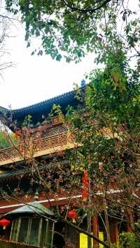 探秘良渚大雄講寺，這裡竟然藏了這麼多秘密！