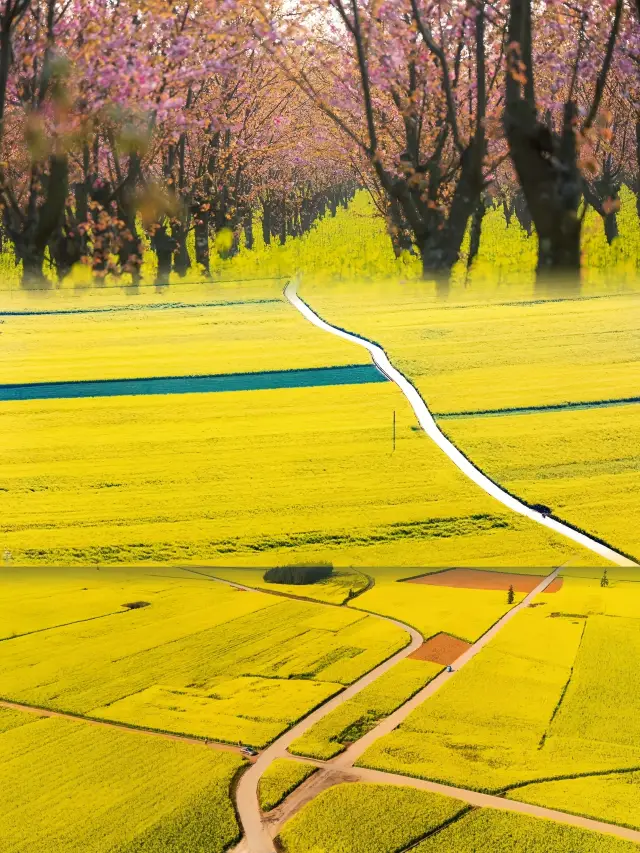 *National Geographic* says this is where spring wakes up first in China.