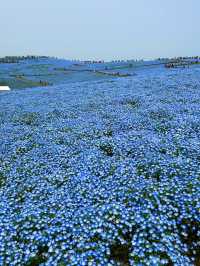 A blue fairytale 