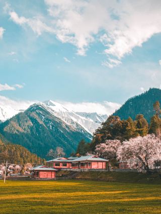 Nyingchi Peach Blossom Tour｜Baka Village in Bomi Ancient Township, a Paradise on Earth