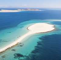達曼珊瑚島：沙特阿拉伯的海濱明珠之旅