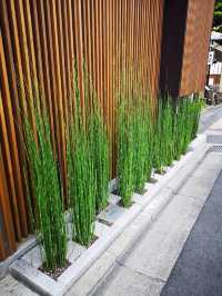 6日小長假 玩轉日本正當時