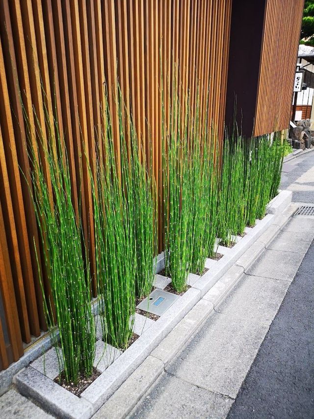 6日小長假 玩轉日本正當時