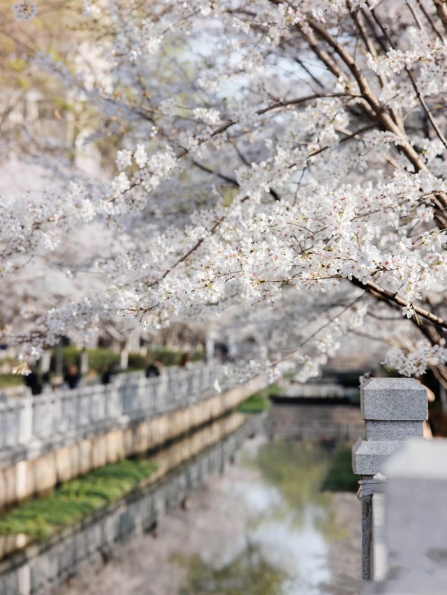 趁著花香微風，踏上「野」的旅程。