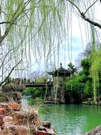 邂逅桃花盛宴︳瘦西湖全攻略感受春天嘅浪漫啦