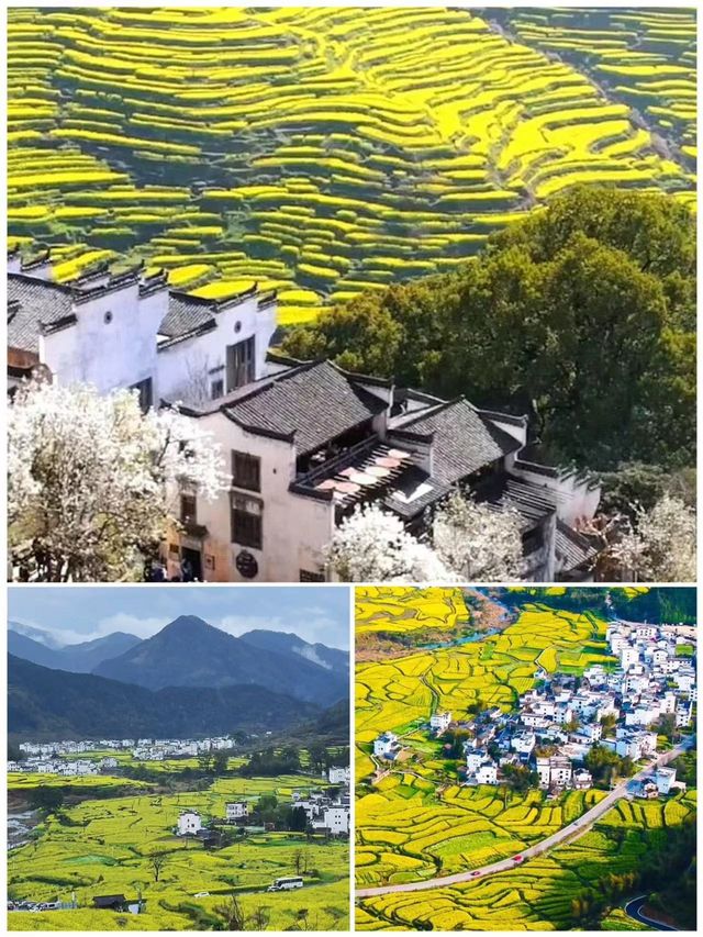 4 月去婺源玩嘅攻略，睇呢篇就夠喇