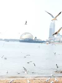 淡季人好少啊青島，真心建議3-4月去