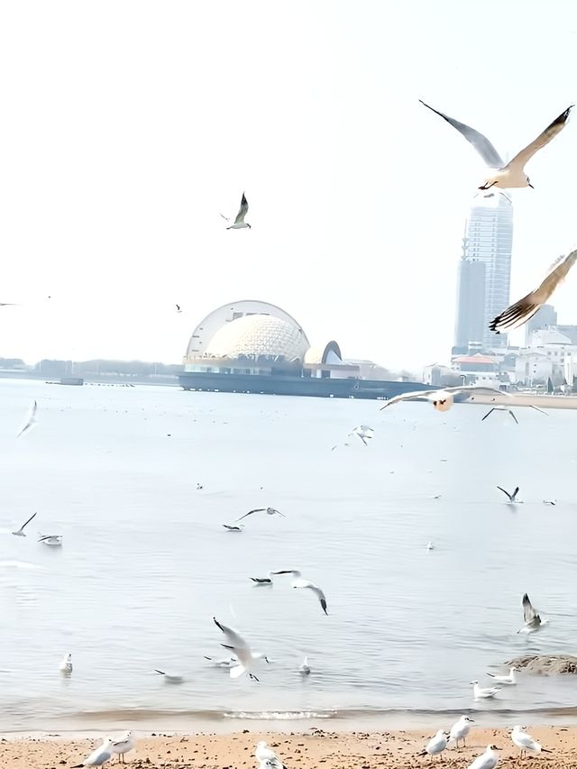 淡季人好少啊青島，真心建議3-4月去