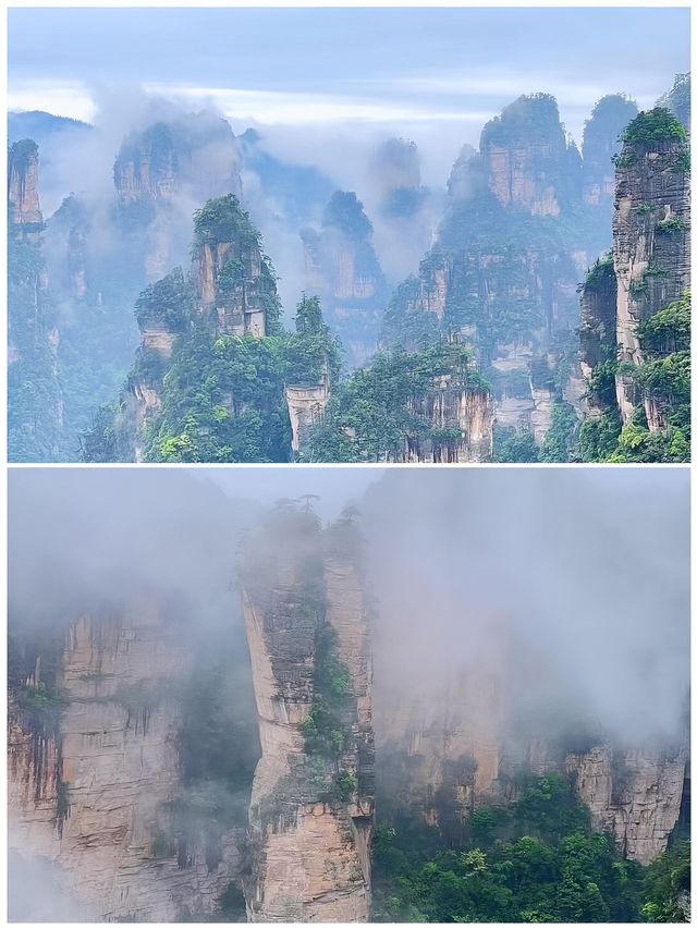 張家界受罪已回，說點難聽大實話！因為一首歌來到一座城