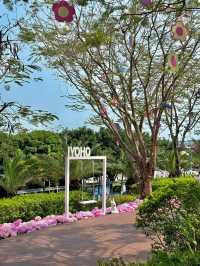🌷珠海 | 城市客廳驚現夢幻花海鹿境