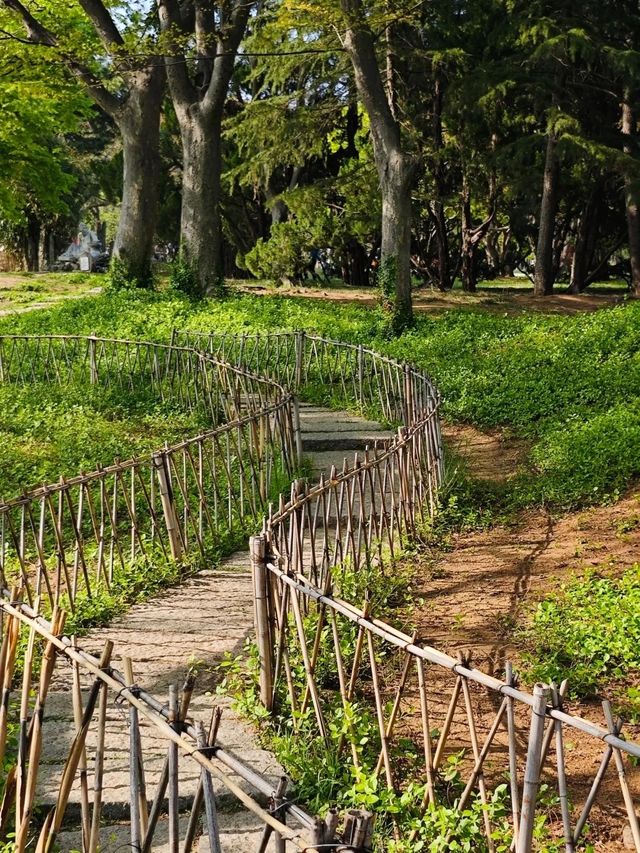 青島也有自己的秘密花園，你知道在哪裡嗎？