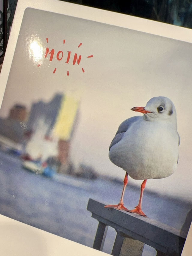 Moin from Hamburg 