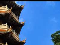 🏯【東莞厚街隱世古塔】唔使點行都上到頂⛰️  