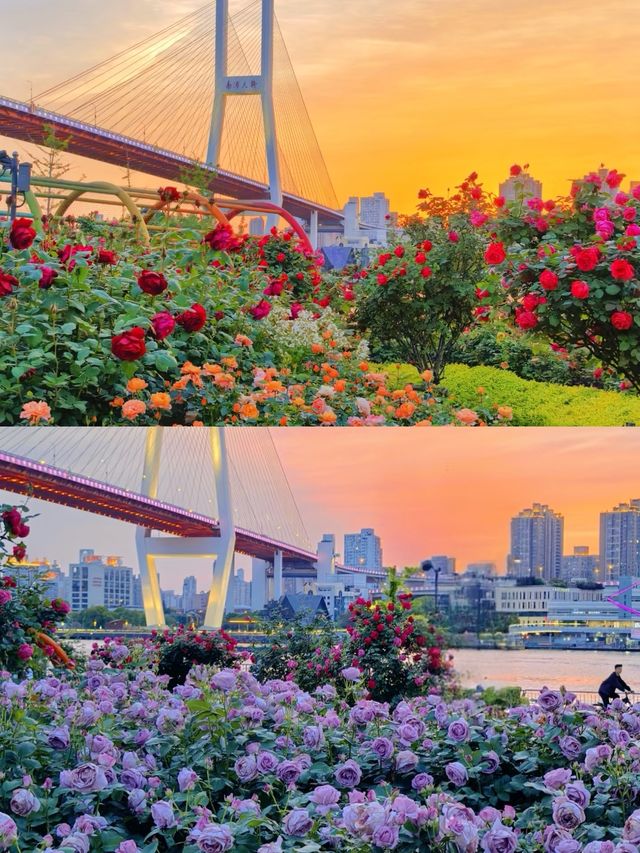 第一次去上海，差點回不來