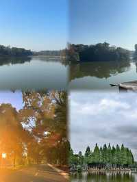 衡陽南湖公園：免費花海中的春日漫遊
