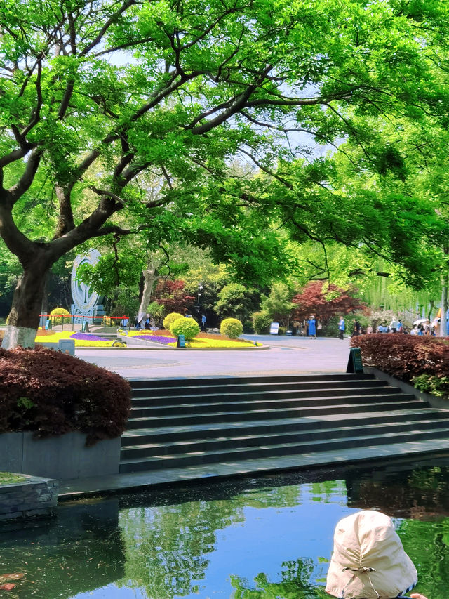 春日限定浪漫｜雷峰塔下邂逅絕美桃花林