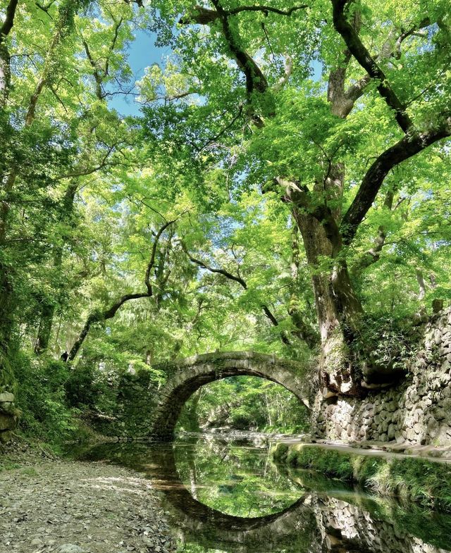 對天台山失去所有力氣和手段