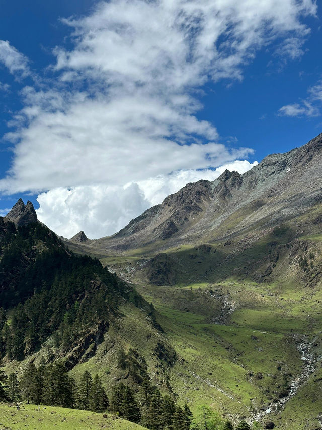 奔赴哈巴雪山腳下的綠野仙蹤——蘭花坪超全攻略