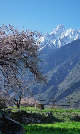 Southeastern Tibet Secret Realm: Nyingchi, Baingoin