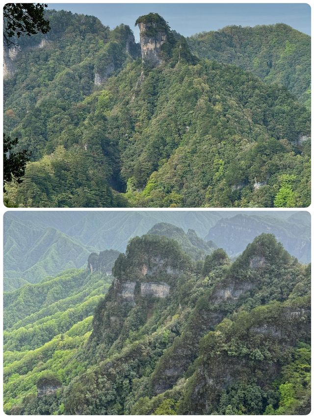 紅葉暴走！光霧山雲端撒歡手賬