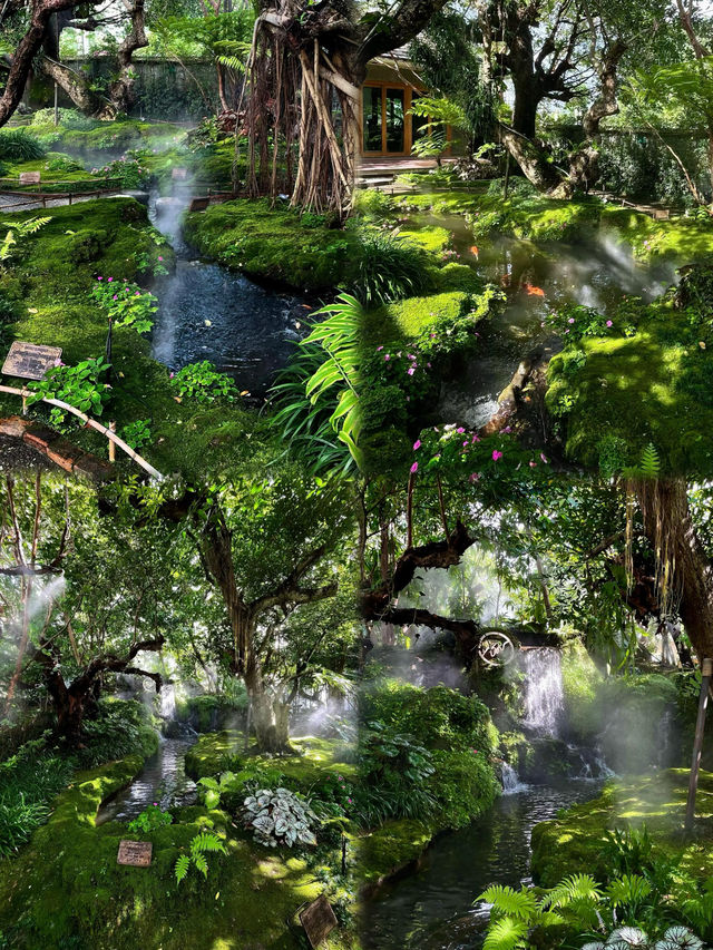【清邁慢時光｜解鎖泰北小城的治癒系玩法】
