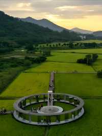 標題：從化秘境｜闖入宮崎駿嘅夏日稻香童話