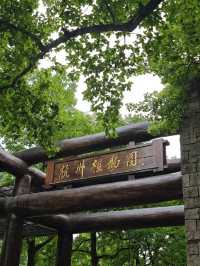 Hangzhou Botanical Garden 🪴 🌿