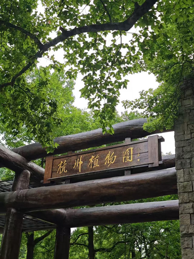Hangzhou Botanical Garden 🪴 🌿