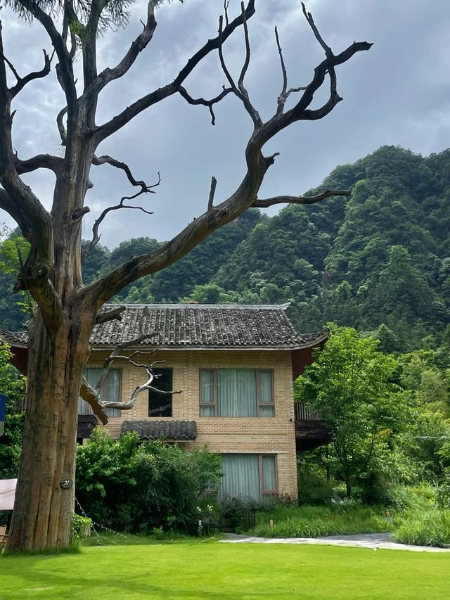 仙境張家界｜梓山漫居