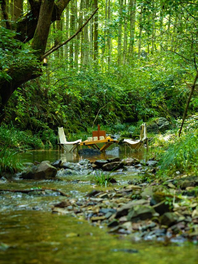 青嶺山徒步攻略｜住進未晞園，探秘荒野古道