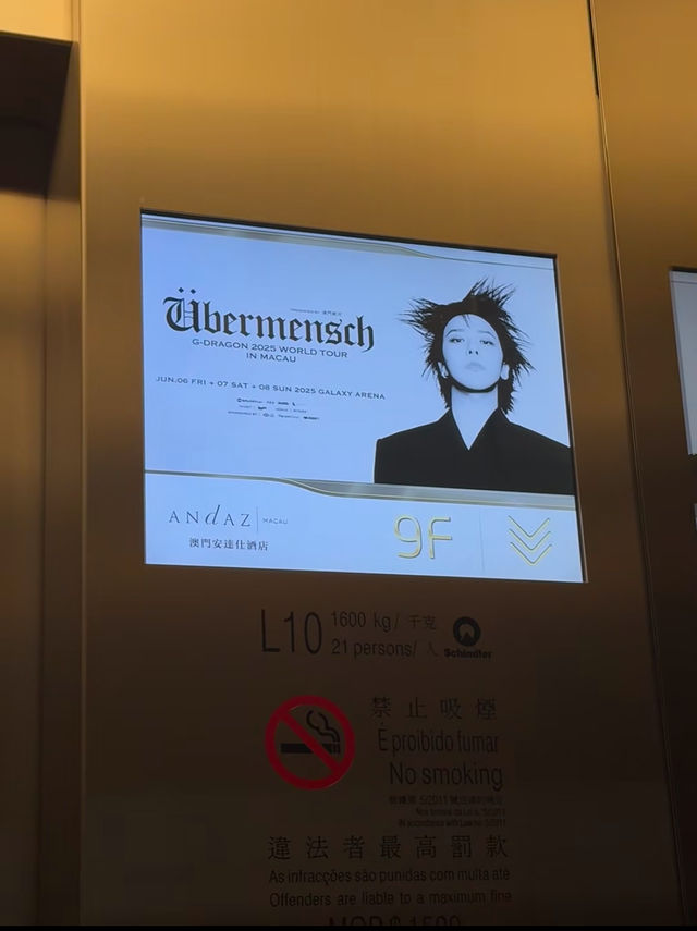GD澳門演唱會住宿指南！端午房源緊張速搶