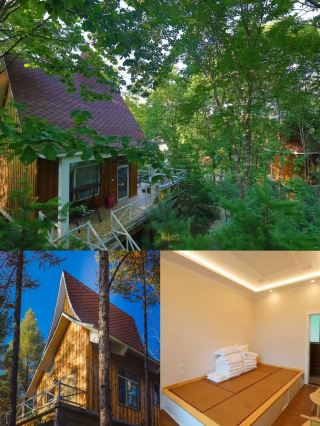 Hidden Gem Forest Cabins Near Shenyang! Step into the Wizard of Oz Just 3 Hours Away