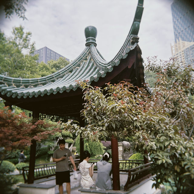 漫步古典園林，聆聽歲月低吟🪻